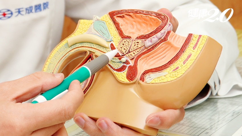 【TVBS健康2.0】下腹痛坐立難安 慢性骨盆腔疼痛症候群，原來是做這個運動惹的禍