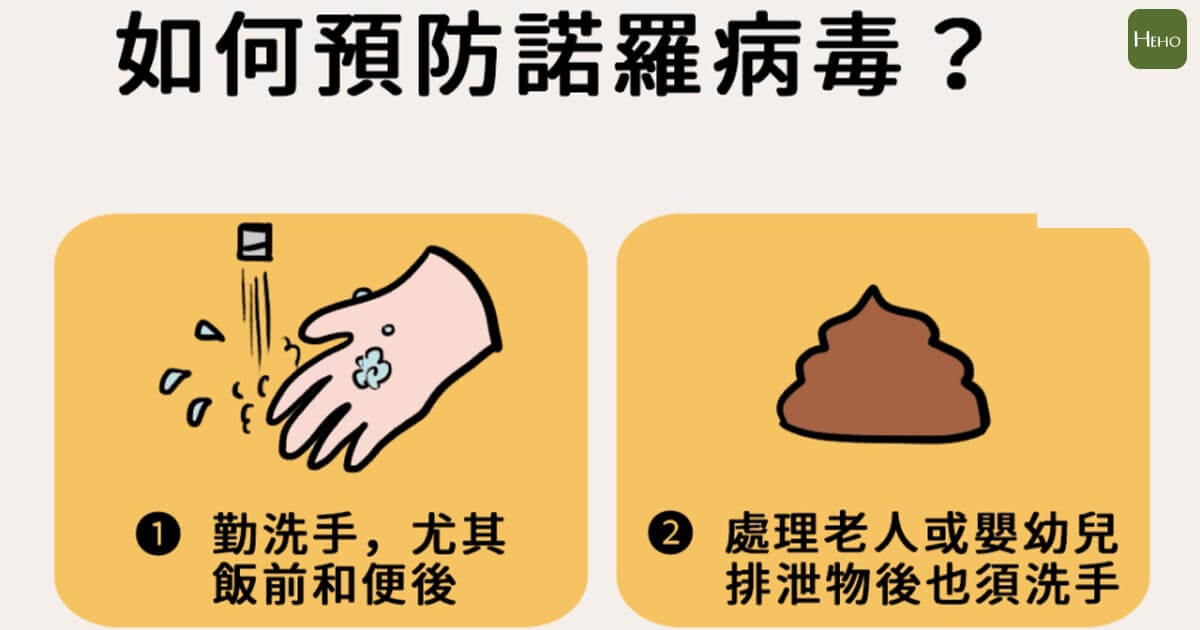 【HEHO健康】諾羅病毒傳染力超強！醫師提醒患者恢復3天內糞便內仍有病毒