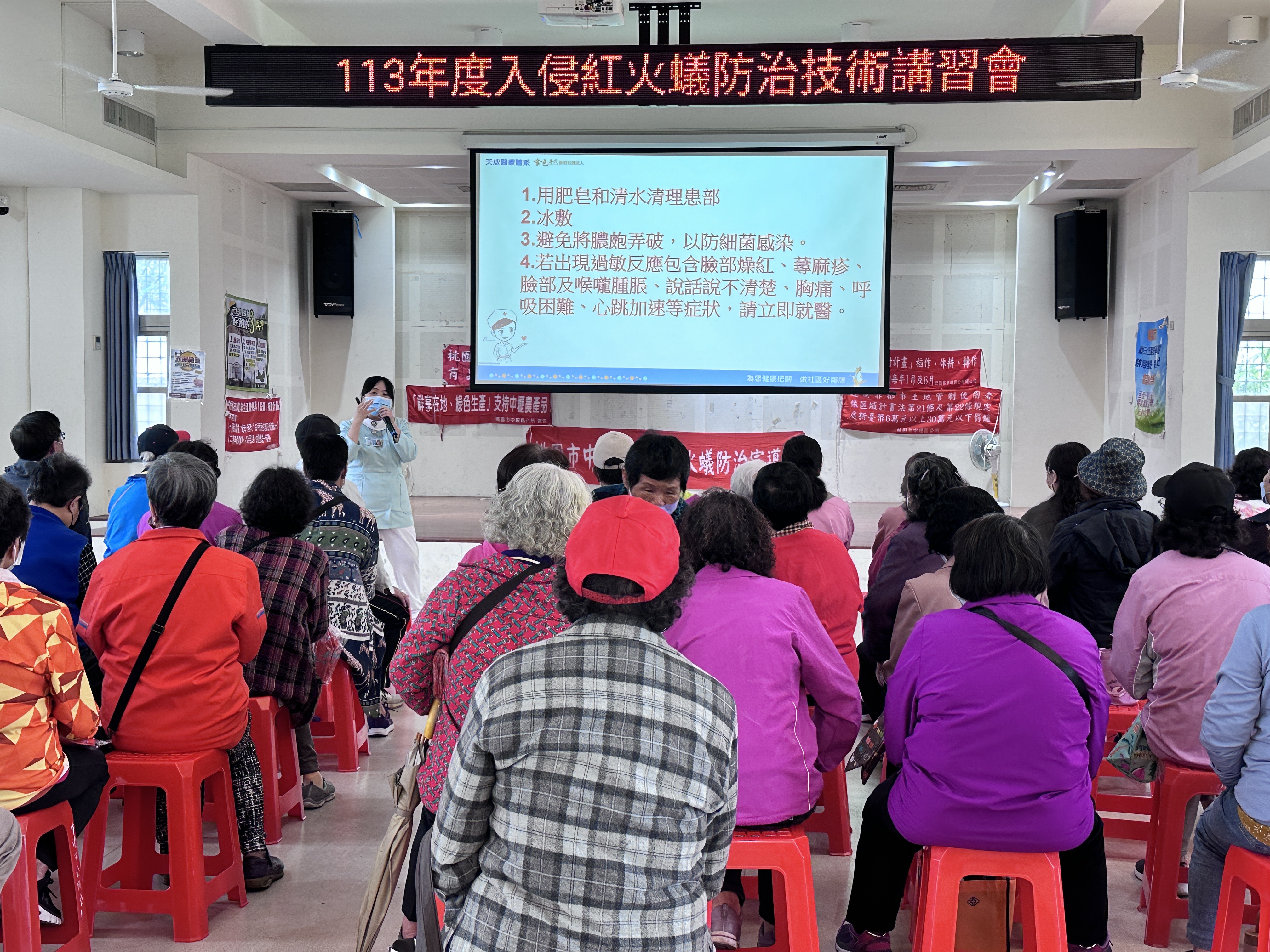 龍安里-紅火蟻防治宣導-龍江市民活動中心