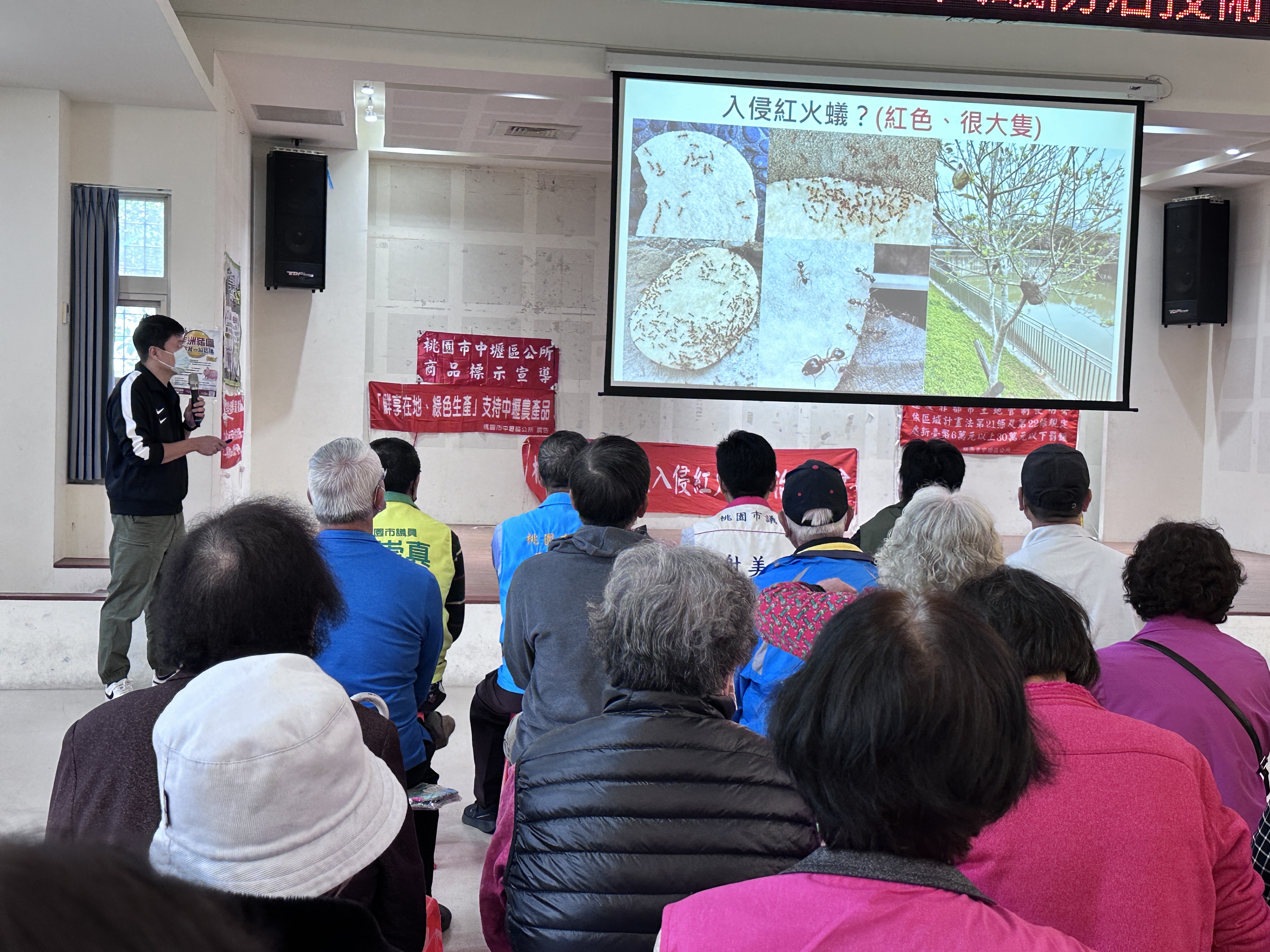 龍安里-紅火蟻防治宣導-龍江市民活動中心