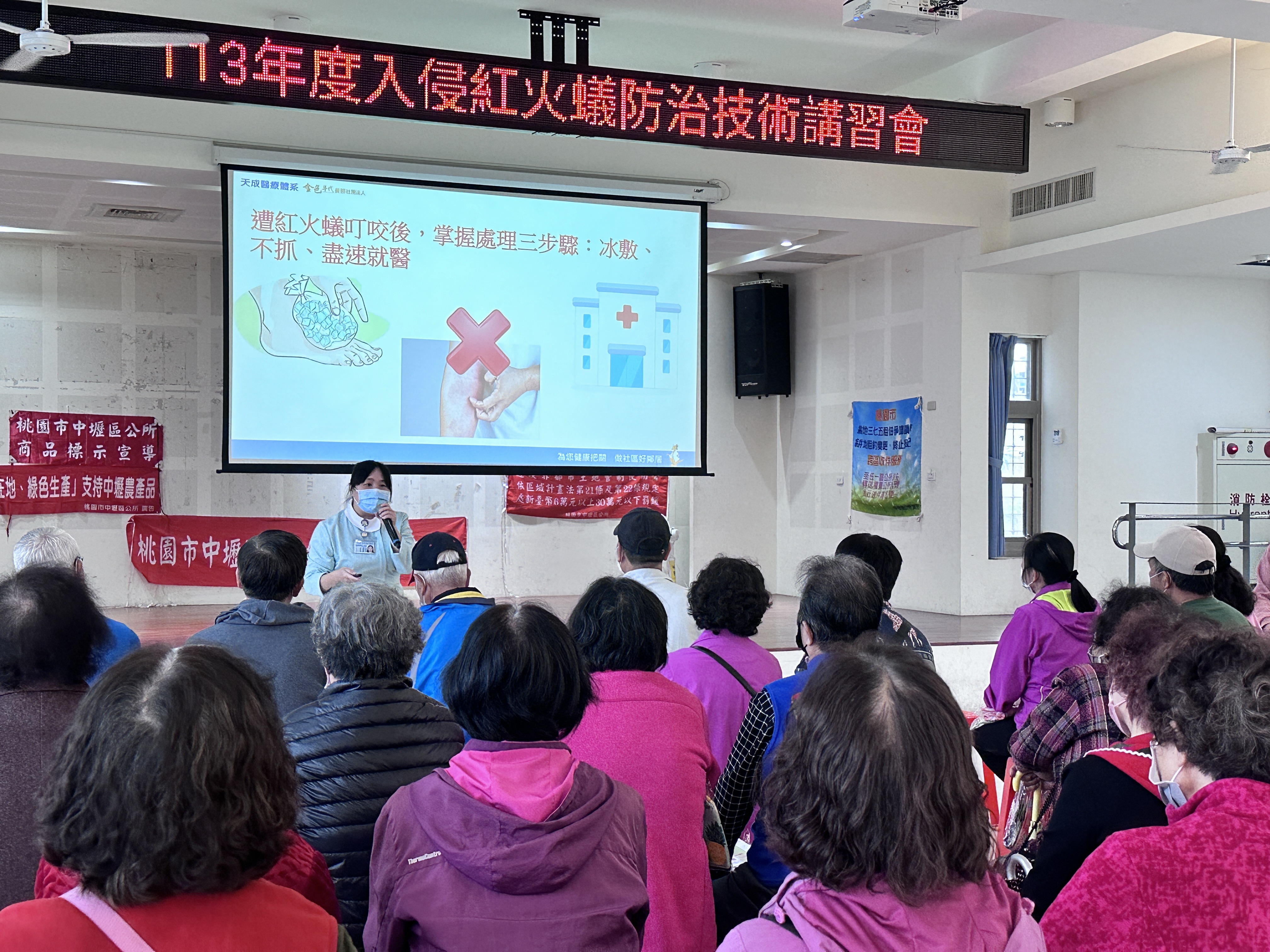 龍安里-紅火蟻防治宣導-龍江市民活動中心