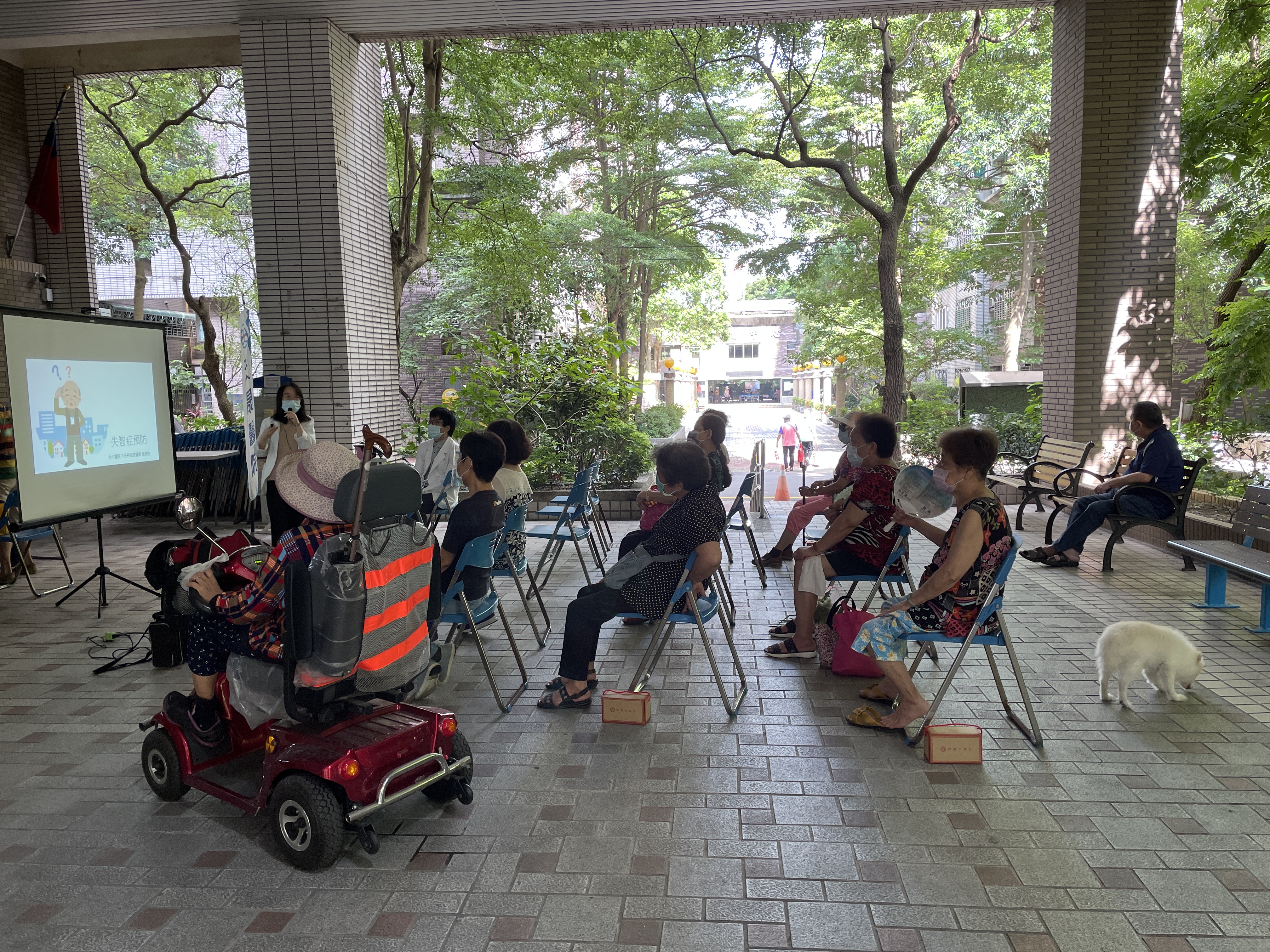 失智症種類與預防